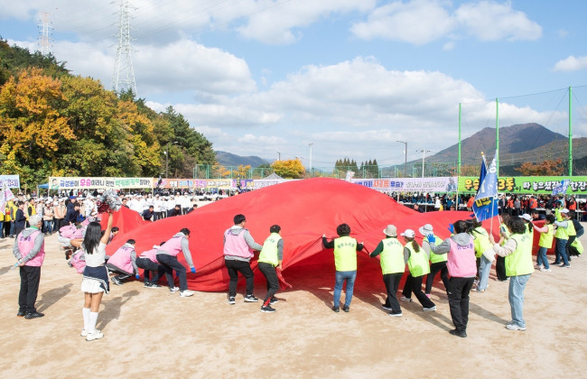 2024 금정구민 한마음 체육대회 성공적 개최